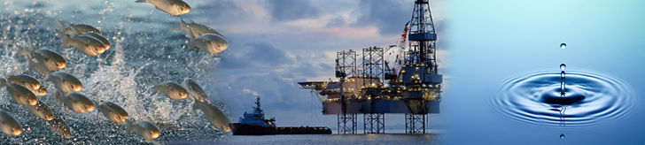 德国HYDROGEN Classic(图1) 德国HYDROGEN Classic(图1)